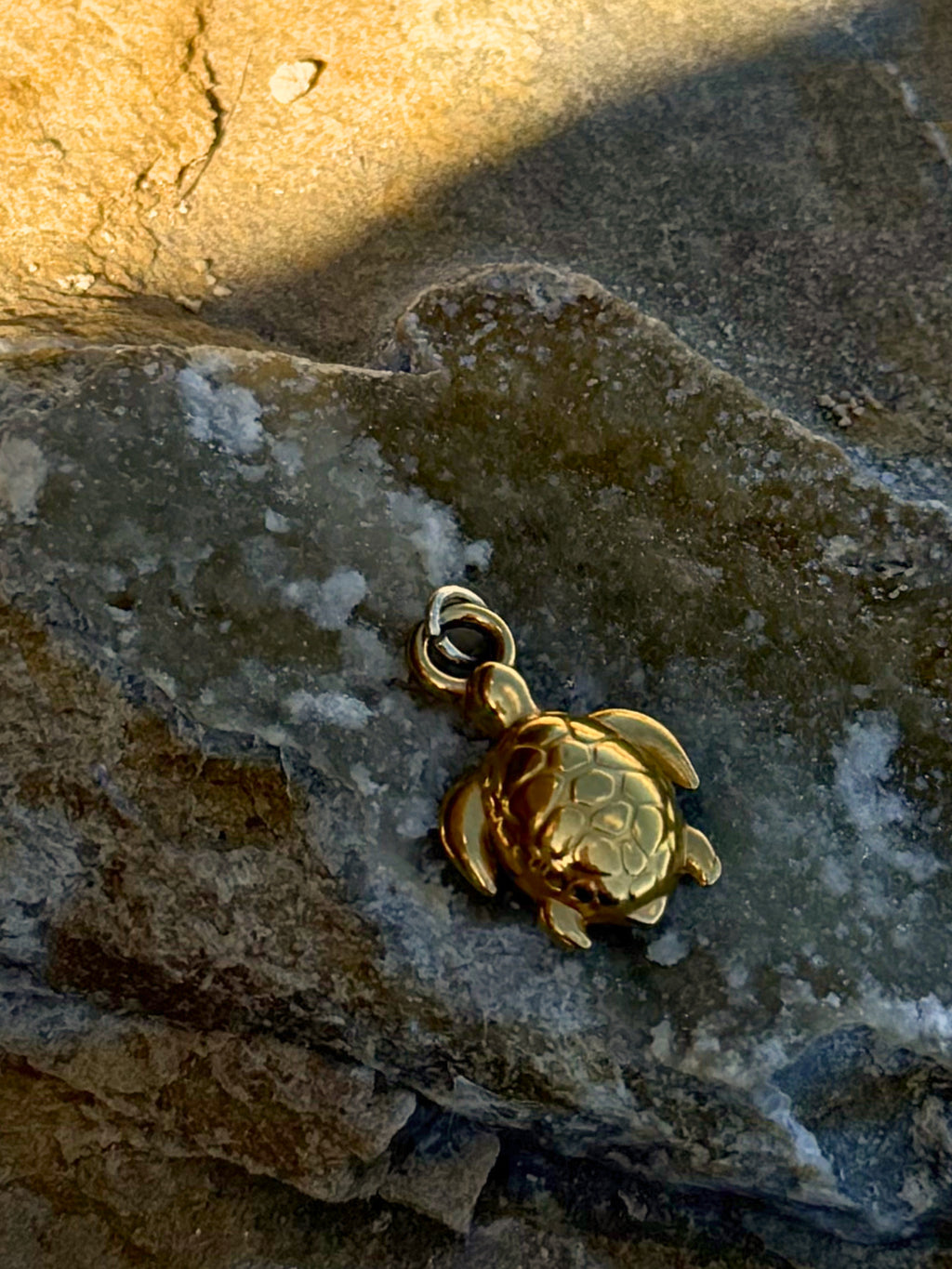Schildkröten-Charm mit Struktur | Edelstahl 18K vergoldet