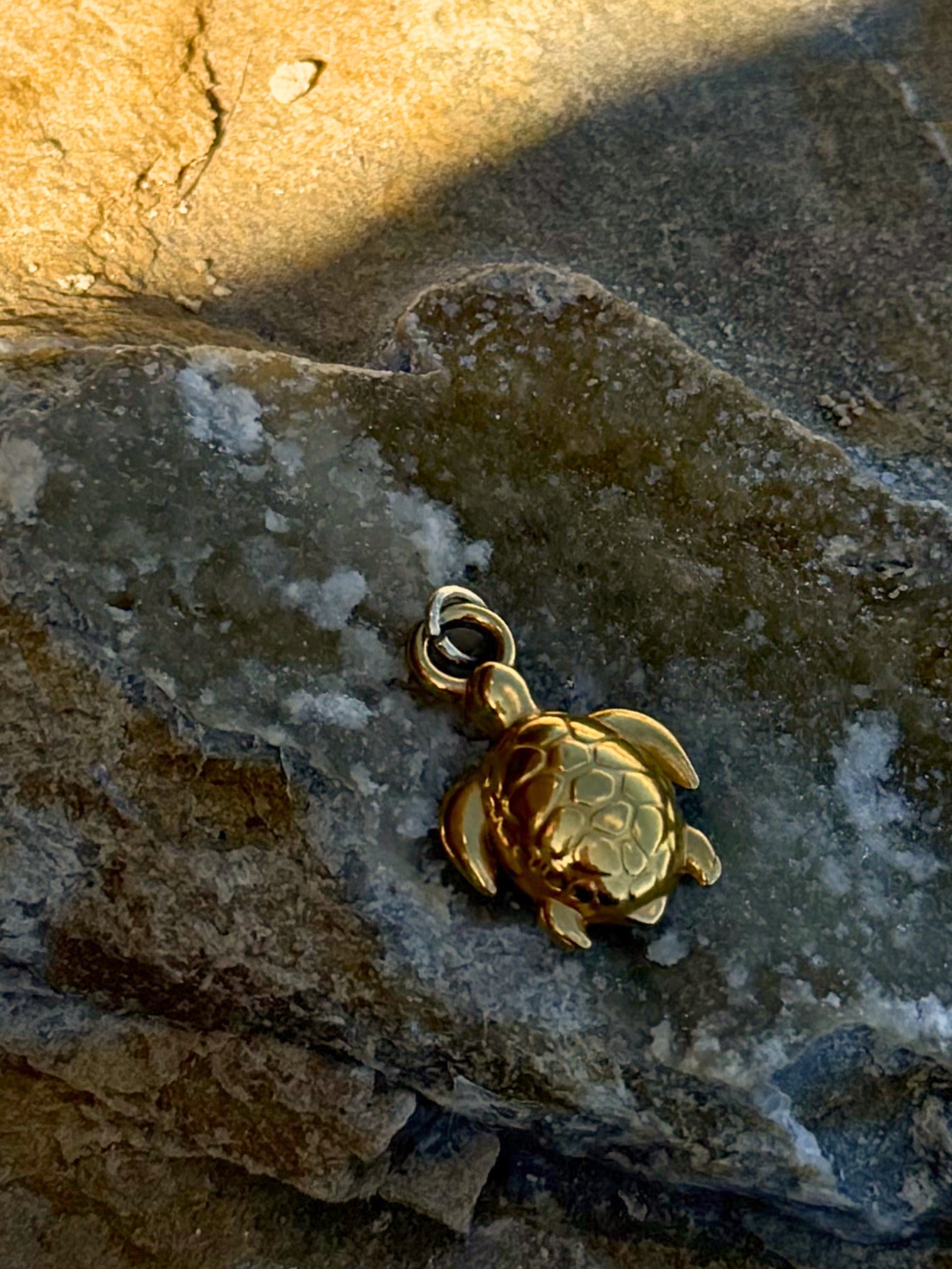 Schildkröten-Charm mit Struktur, 18K vergoldeter Edelstahl, von BARLA