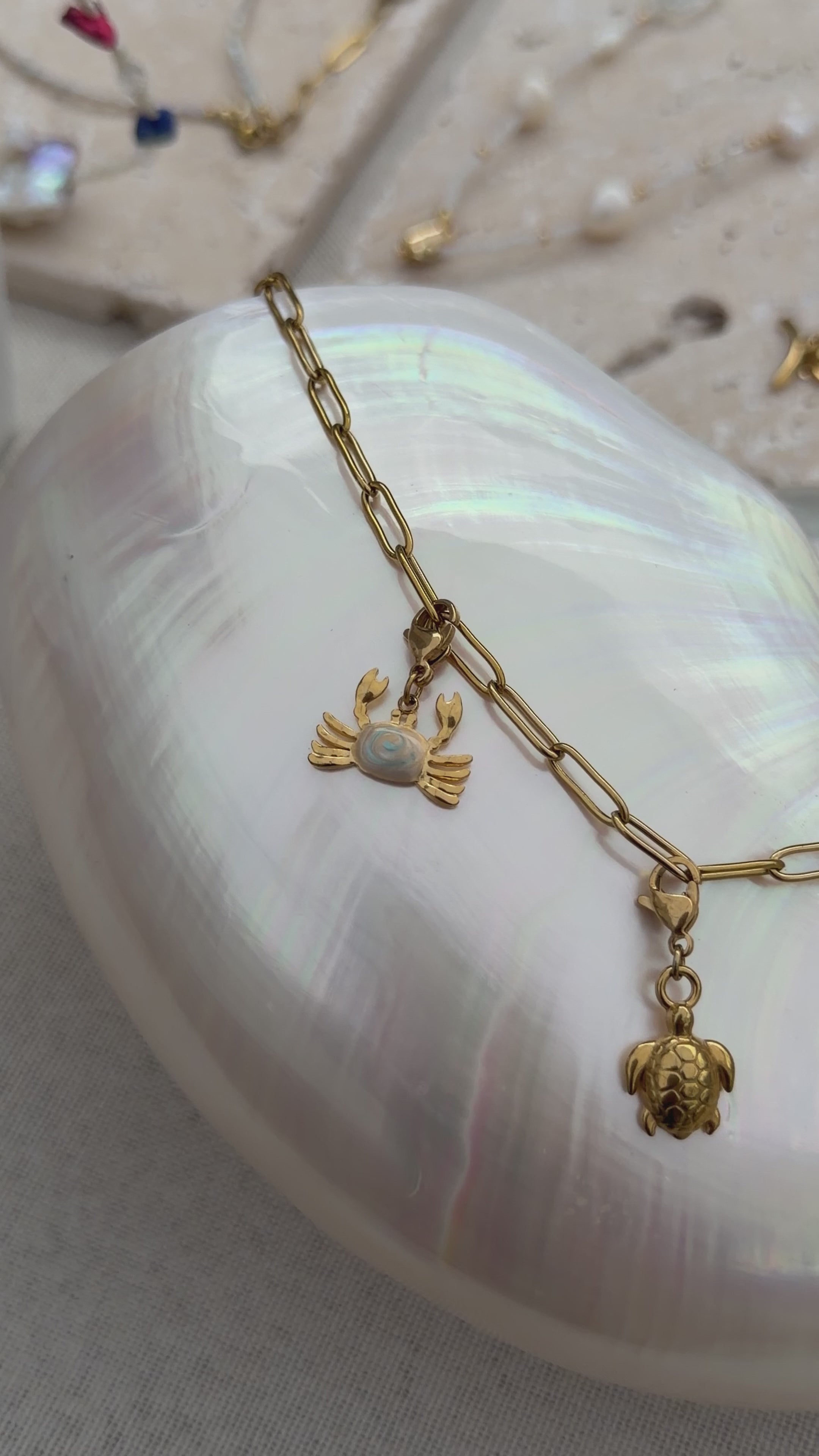 Goldene Gliederkette mit Meeres-Charms liegt auf einer grossen Perlmutt-Muschel